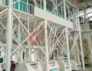 100tpd wheat milling machine