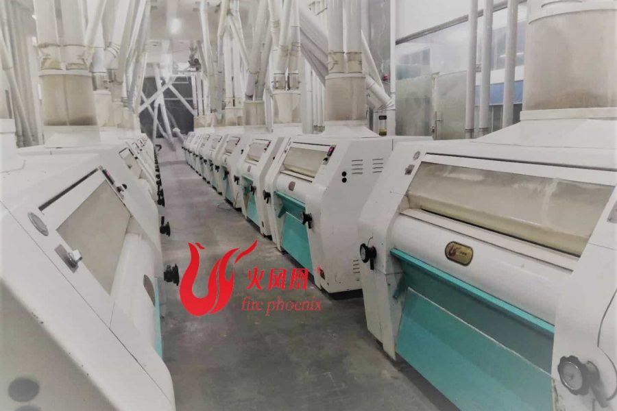 large maize milling machine