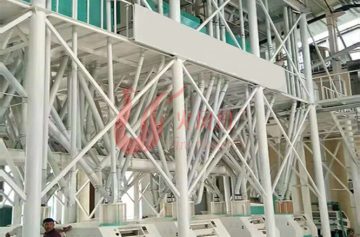 100tpd wheat milling machine