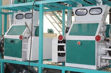 10ton maize processing machine