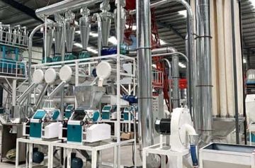 10ton maize processing machine