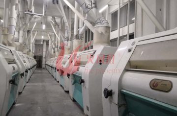 200TPD wheat flour milling plant