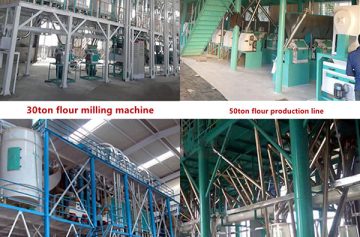 30-200tpd maize processing plant