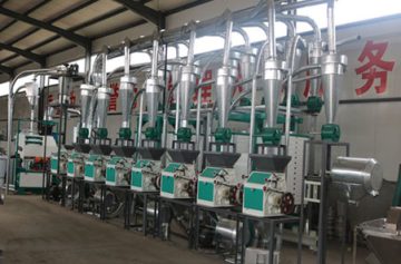40ton wheat flour mill