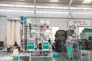 10TPD wheat flour milling machine