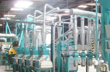 maize meal processing plant