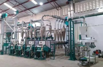 maize milling plant