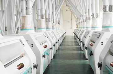 wheat roller flour milling plant machine