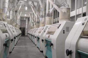 wheat roller flour milling plant machinery
